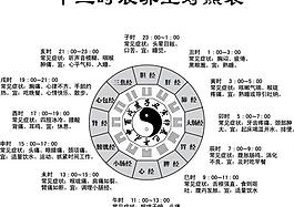 十二时辰养生对照表图片