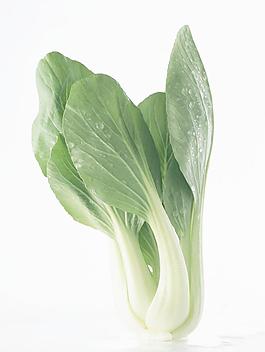 青菜图片
