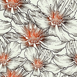 矢量素材素雅花卉画稿图片