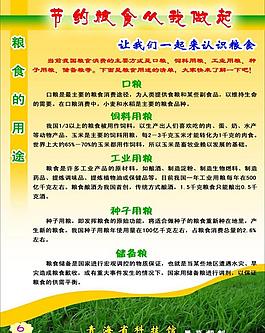 节约粮食展板图片