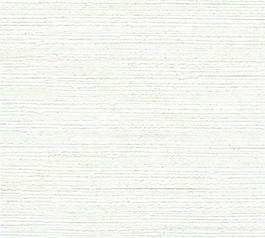 21229_壁纸_浅色