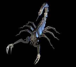 蝎子模型