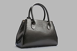 1152个关于"皮包"的素材