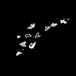 创意小鸟设计透明素材水彩