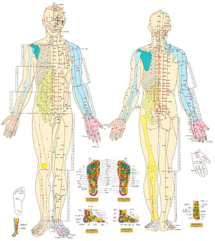 针灸推拿人体骨骼穴位图