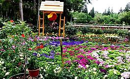 花农图片 花农素材 花农模板免费下载 六图网