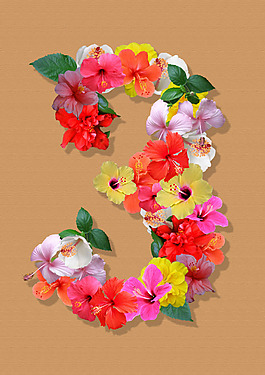 花体数字图片 花体数字素材 花体数字模板免费下载 六图网