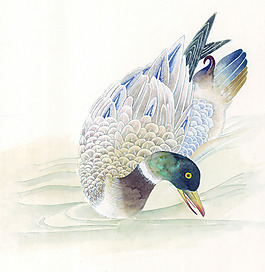 工笔画鸭子图片_工笔画鸭子素材_工笔画鸭子模板免费下载-六图网