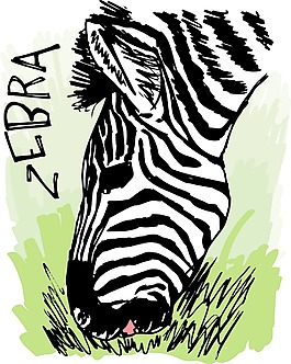 斑马吃草矢量插画