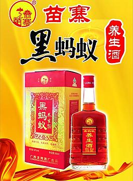 黑蚂蚁养生酒图片
