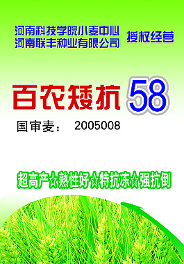 百农矮抗58麦种