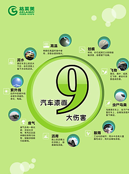 漆面9大危害图片