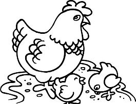 鸡 家禽家畜 矢量素材 eps格式_0170