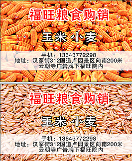 粮食 收购 名片图片