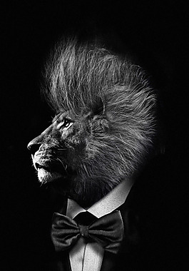 黑色西装狮子头h5背景素材