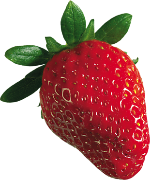 水果 草莓 png 透明图片 免抠图