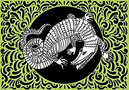 鳄鱼视频素材图片_鳄鱼视频素材素材_鳄鱼视频素材模板免费下载-六图